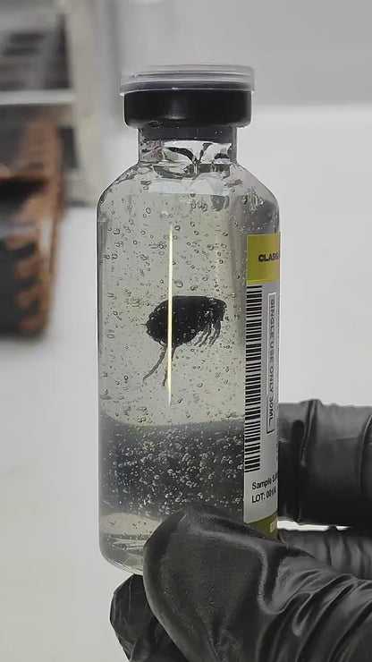 Black Death (Yersinia Pestis S. XIV ),COSPLAY PROPS